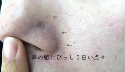 使った口コミ アクセーヌの日焼け止め４種類を比較 １番はどれ 半熟ダイアリー